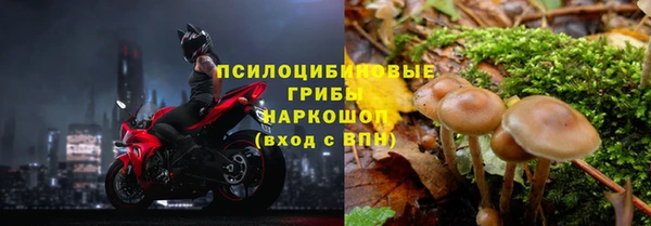 круглые Алзамай